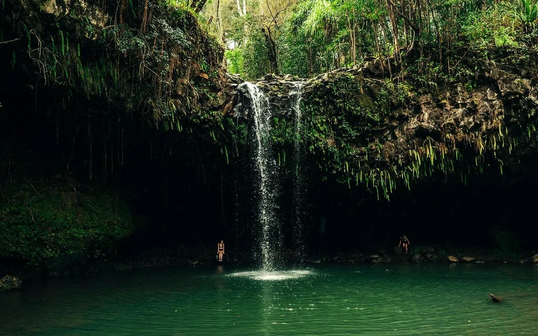 Private Road to Hana Tour with GoPro Capture and Lunch Image 4