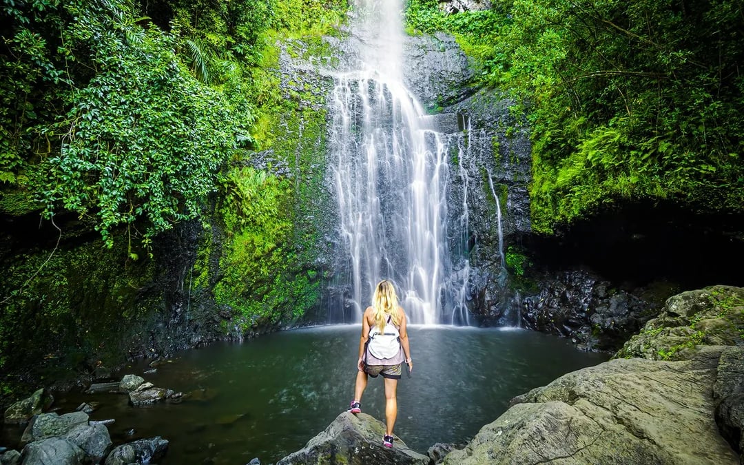 Private Road to Hana Tour with GoPro Capture and Lunch Image 8