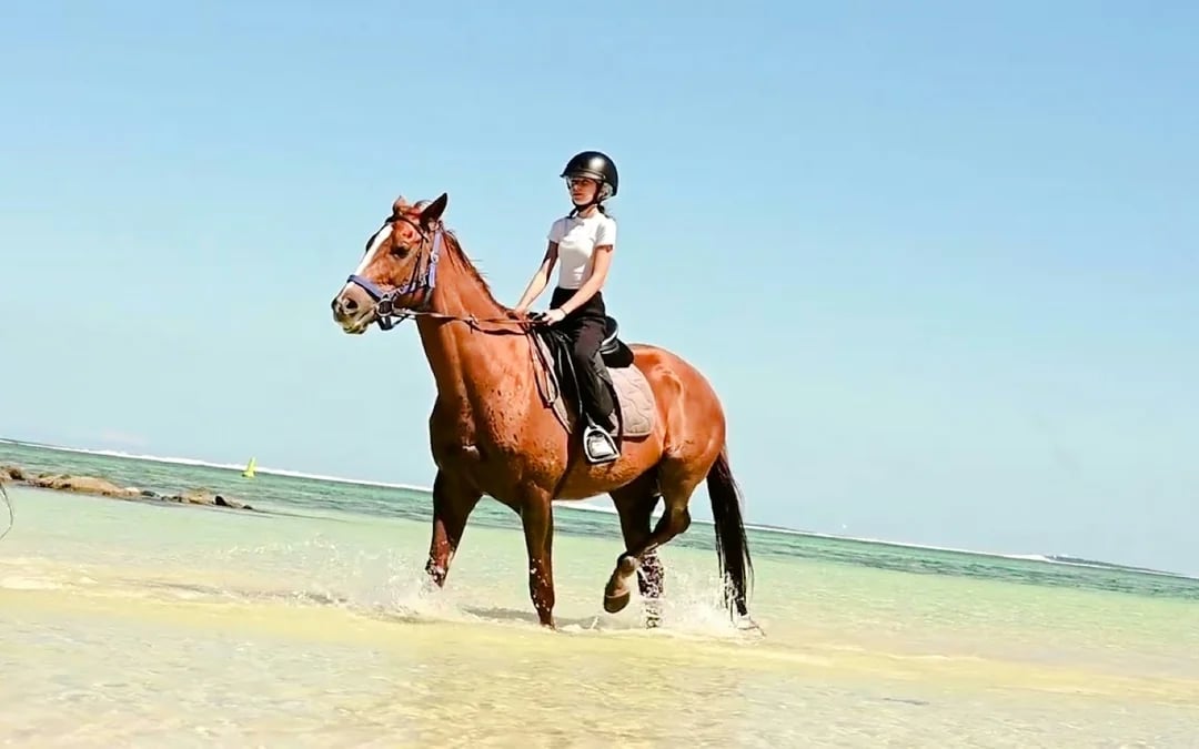 Private South-West Mauritius Tour with Bel Ombre Beach Horseback Ride and Lunch Image 1