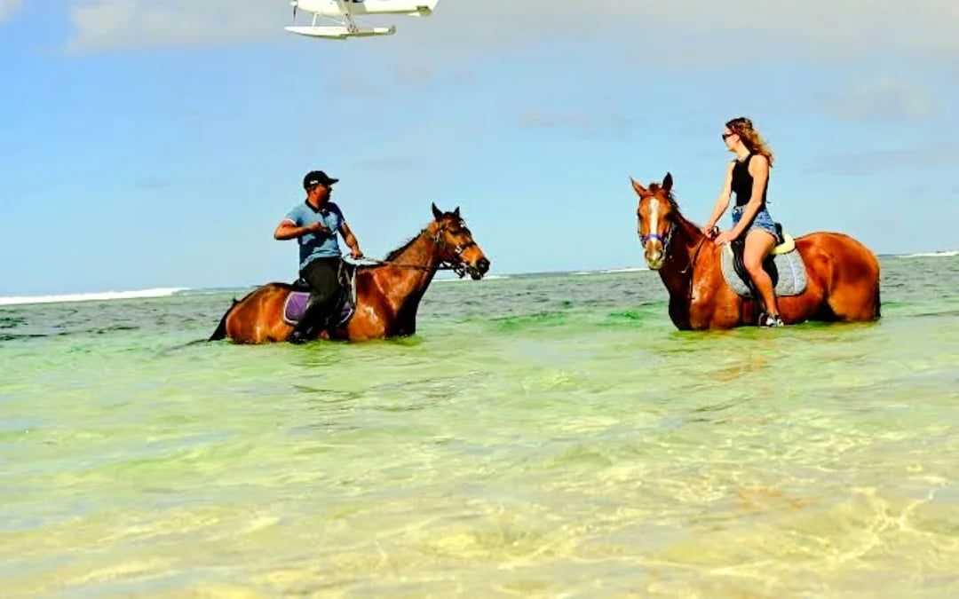 Private South-West Mauritius Tour with Bel Ombre Beach Horseback Ride and Lunch Image 2
