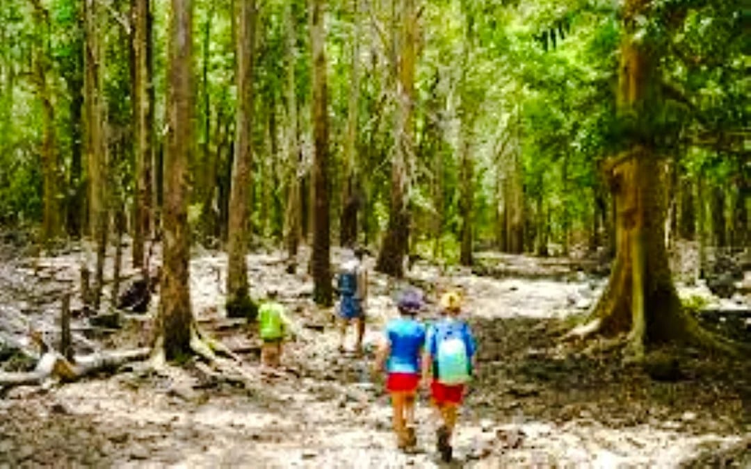 Private South-West Mauritius Tour with Bel Ombre Beach Horseback Ride and Lunch Image 11