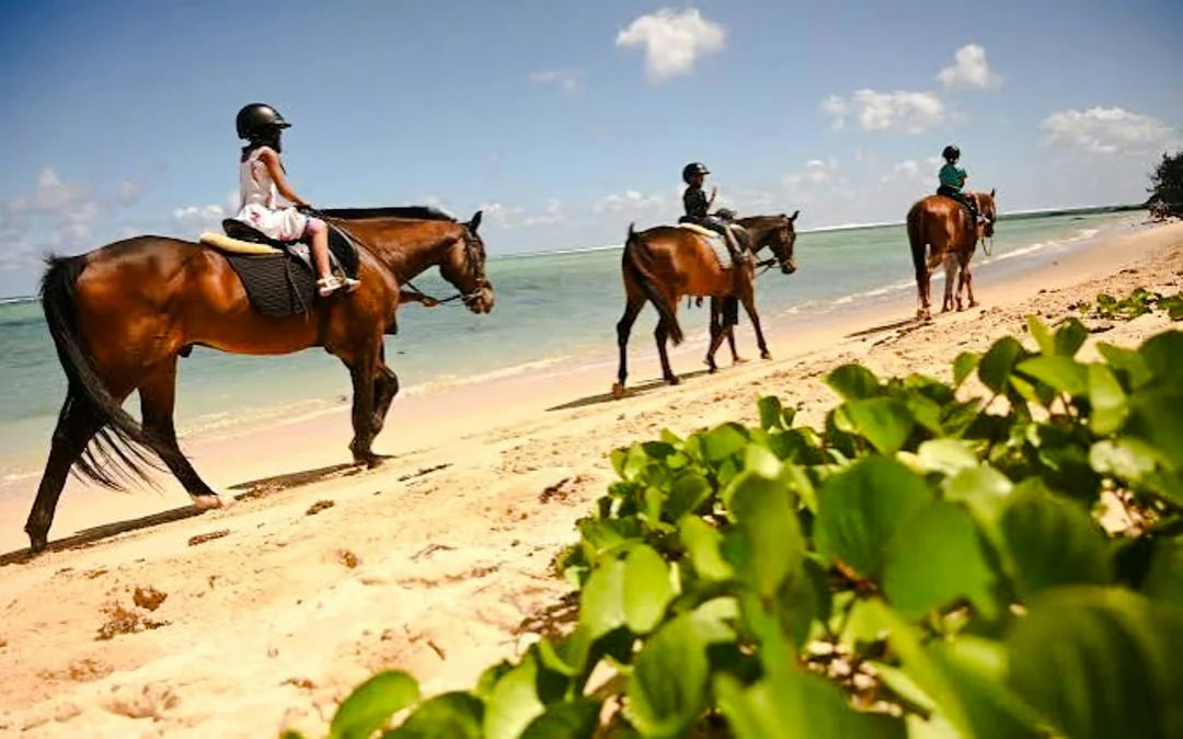 Private South-West Mauritius Tour with Bel Ombre Beach Horseback Ride and Lunch Image 12