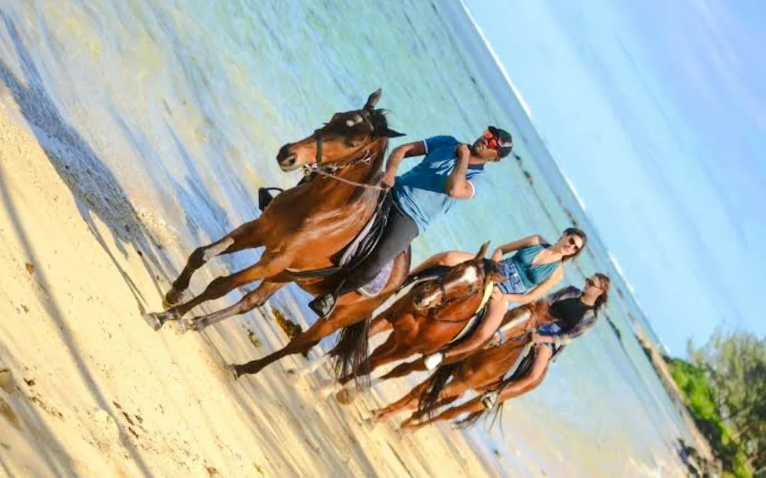 Private South-West Mauritius Tour with Bel Ombre Beach Horseback Ride and Lunch Image 3