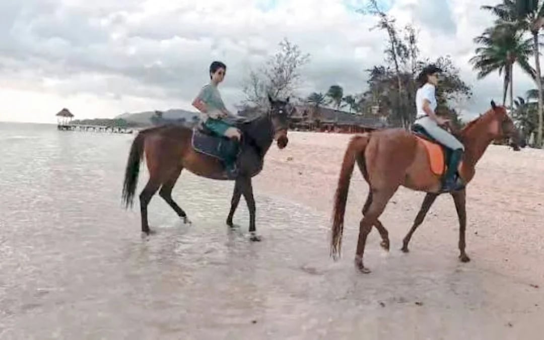 Private South-West Mauritius Tour with Bel Ombre Beach Horseback Ride and Lunch Image 4