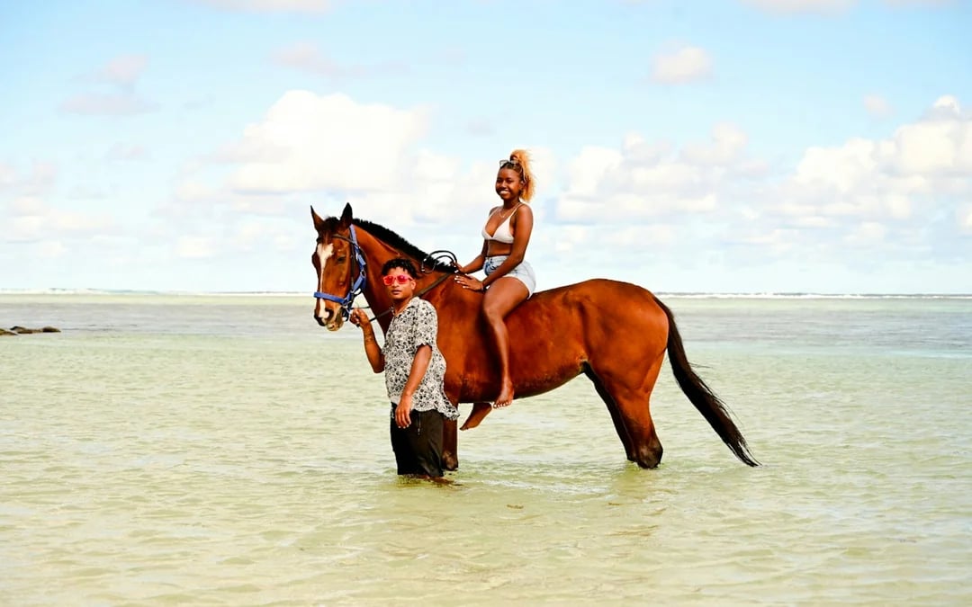 Private South-West Mauritius Tour with Bel Ombre Beach Horseback Ride and Lunch Image 8