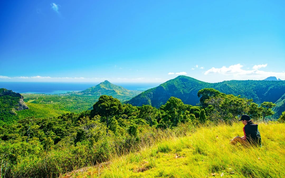 Private Southwest Tour with 7 Coloured Earth and Crocodile Park Image 2
