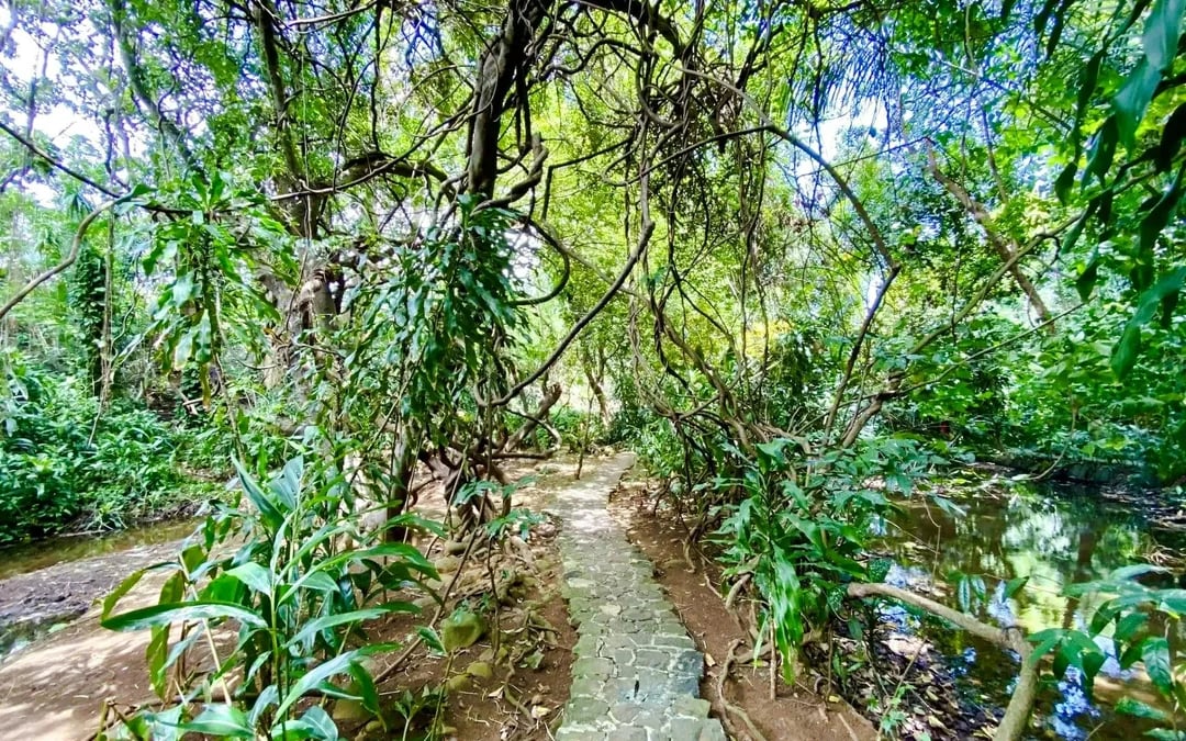 Private Southwest Tour with 7 Coloured Earth and Crocodile Park Image 10