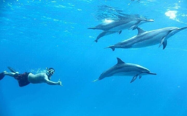 Private Speed Boat Snorkeling with Dolphins Trip - Hurghada Image 2