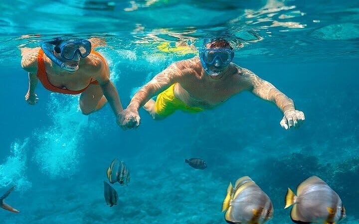 Private Speed Boat Snorkeling with Dolphins Trip - Hurghada Image 4