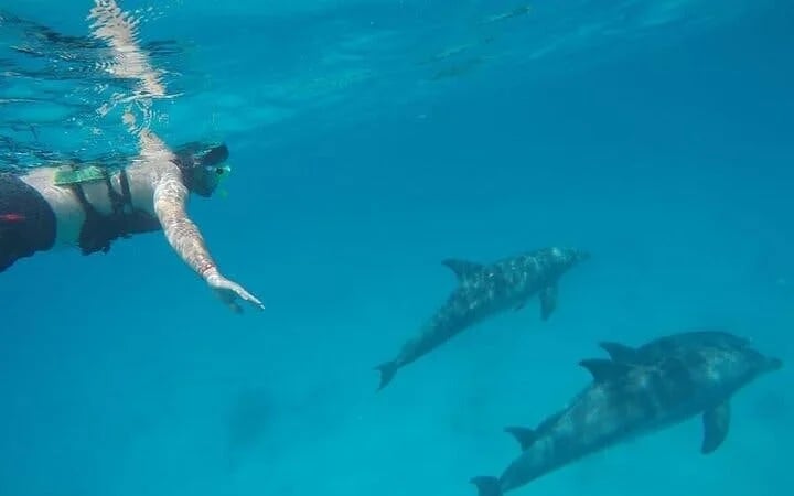 Private Speed Boat Snorkeling with Dolphins Trip - Hurghada Image 5
