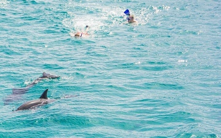Private Speed Boat Snorkeling with Dolphins Trip - Hurghada Image 8