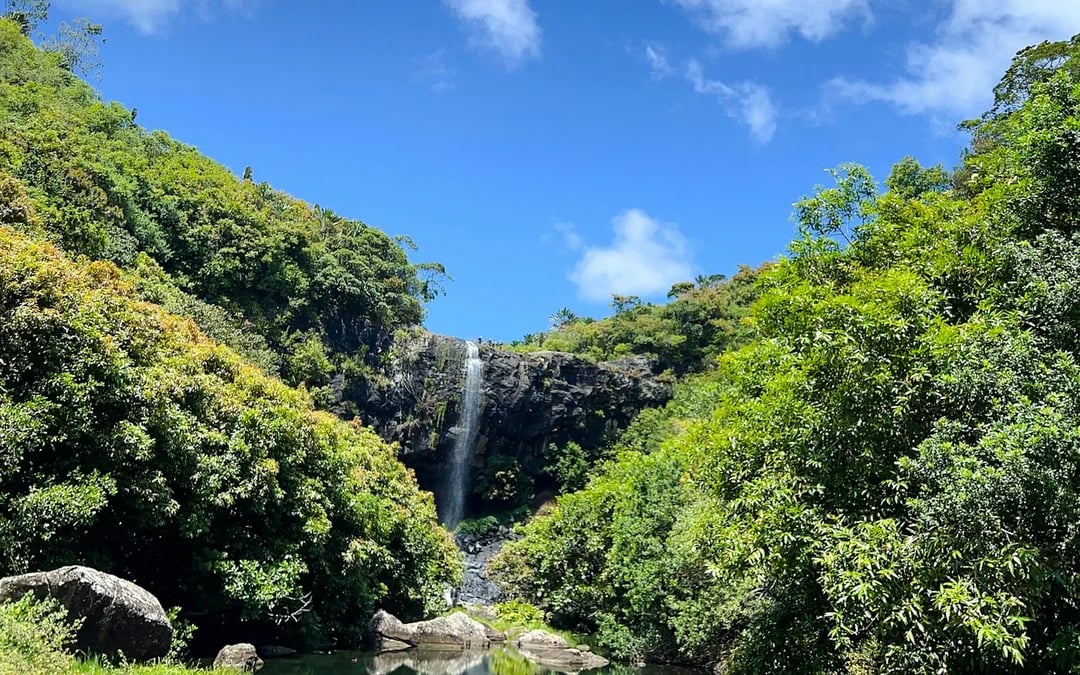 Private Tamarind Falls 7 Cascades Guided Hike and Southwest Mauritius Tour with Lunch Image 2