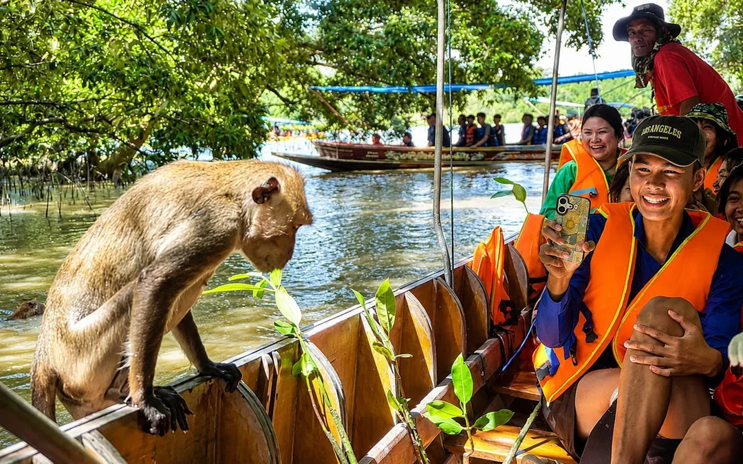 Private Tour: Maeklong Train Market, Floating Market and Klo Image 3