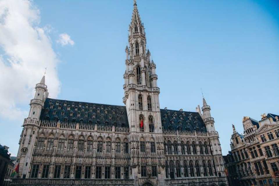 Private walking tour of Brussels' history and art