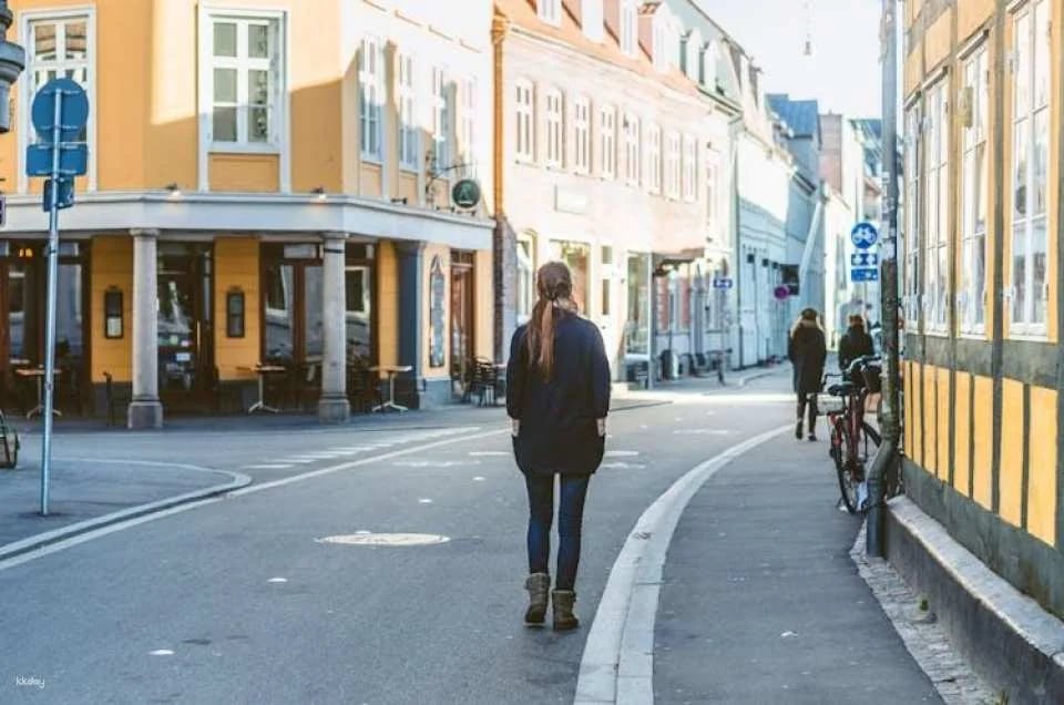 Private walking tour passing the best of Aarhus