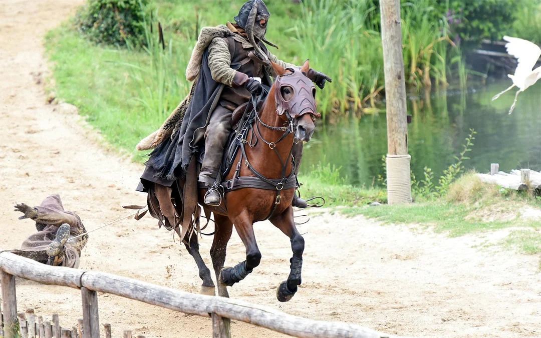 Puy du Fou 2 or 3-Day Tickets Image 12
