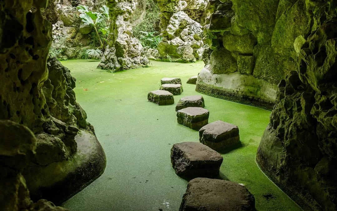 Quinta da Regaleira Tickets Image 4