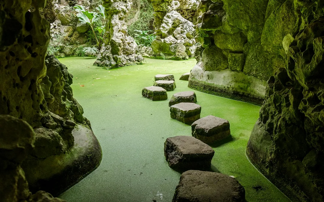 Quinta da Regaleira Tickets Image 4