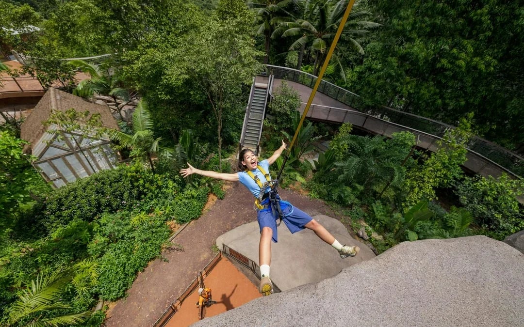 Rainforest Wild Adventure Entry Tickets with 5+ Adventure Activities Image 1
