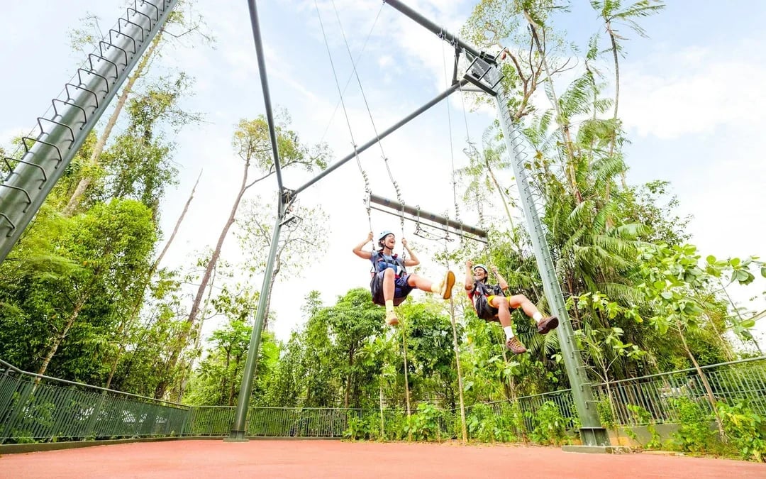 Rainforest Wild Adventure Entry Tickets with 5+ Adventure Activities Image 8