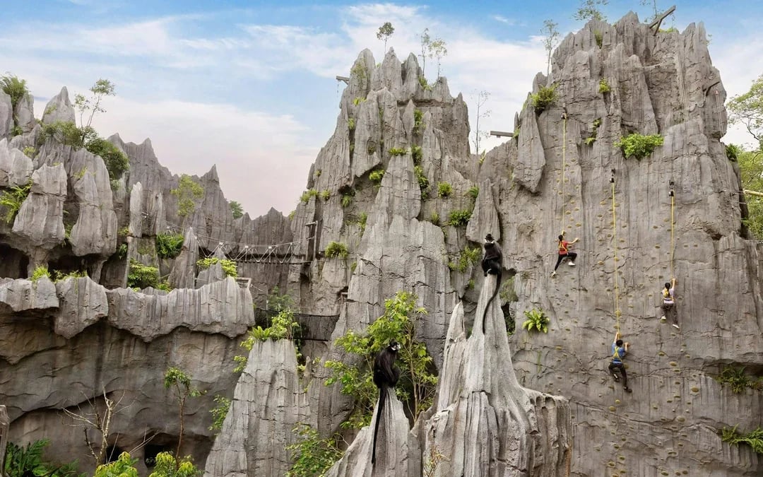Rainforest Wild Adventure Entry Tickets with 5+ Adventure Activities Image 9