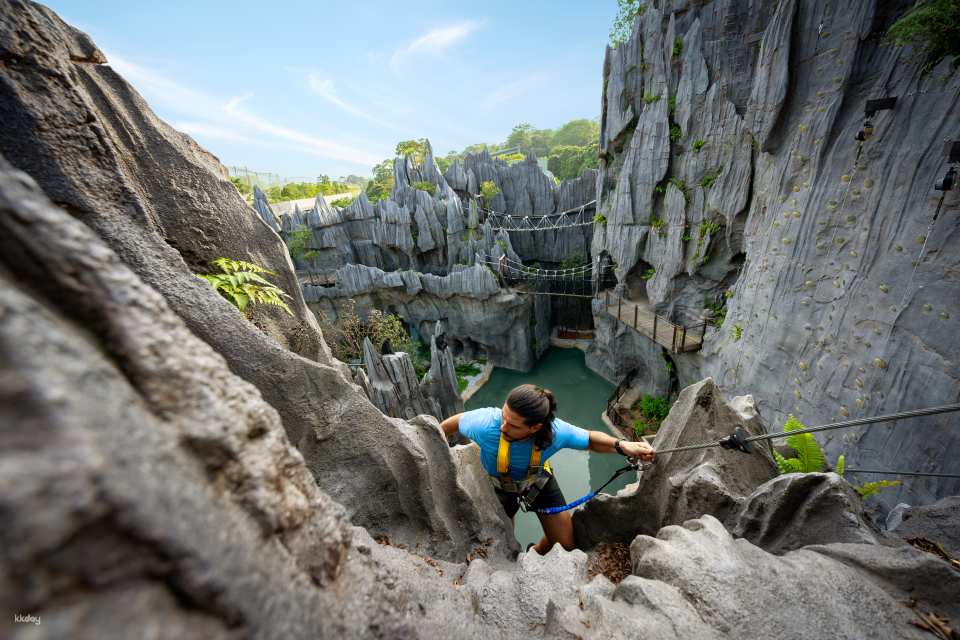 Rainforest Wild Adventure Tickets | Mandai Wildlife Reserve, Singapore