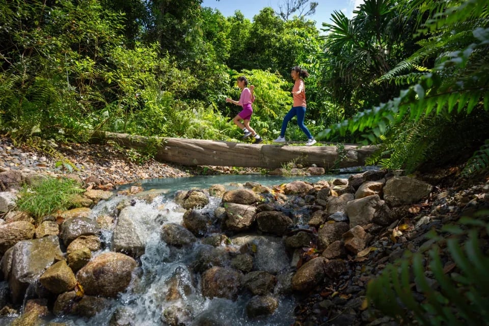 Rainforest Wild Adventure Tickets | Mandai Wildlife Reserve, Singapore
