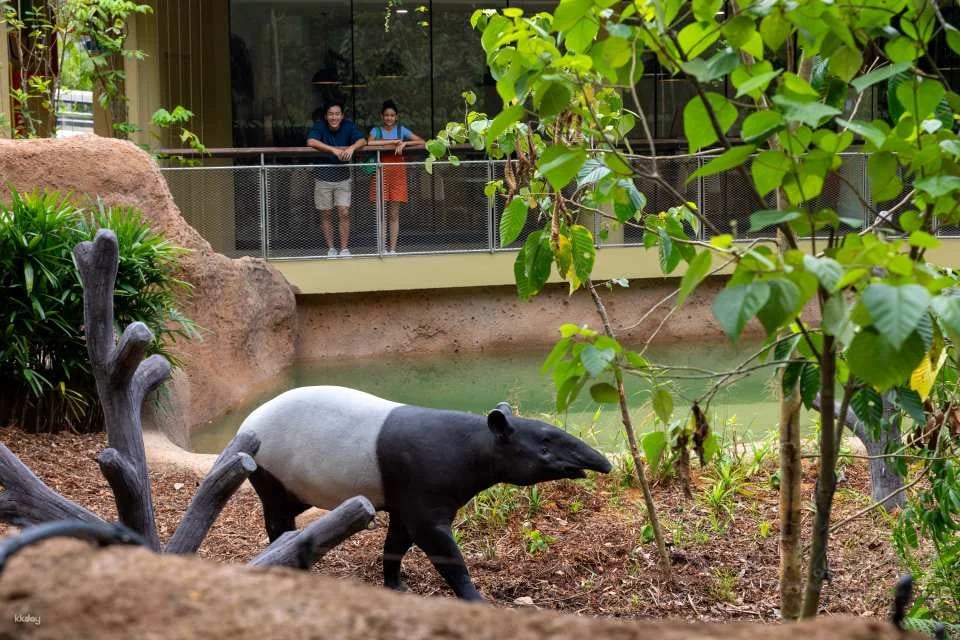Rainforest Wild Adventure Tickets | Mandai Wildlife Reserve, Singapore