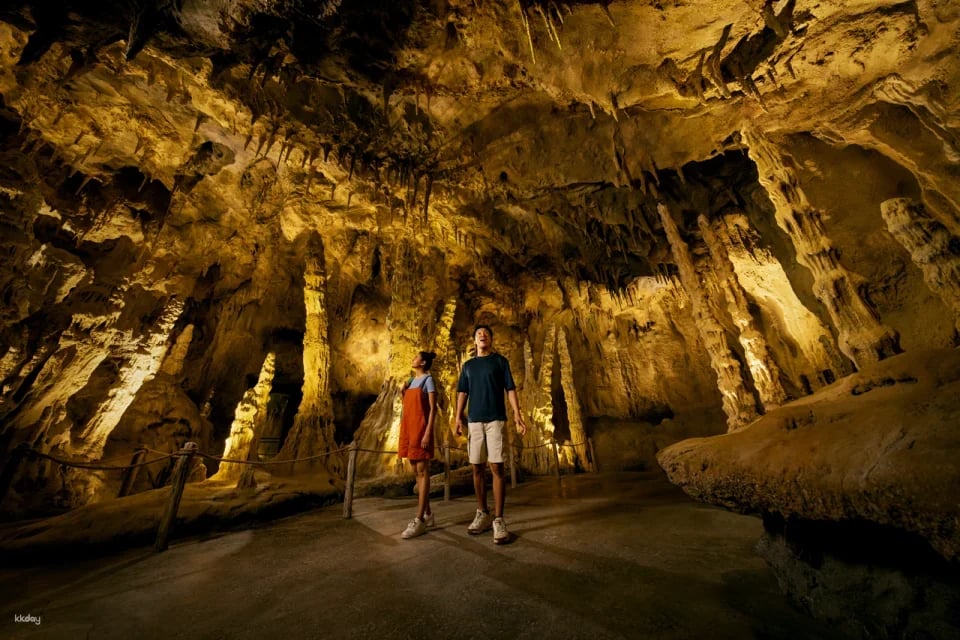 Rainforest Wild Adventure Tickets | Mandai Wildlife Reserve, Singapore