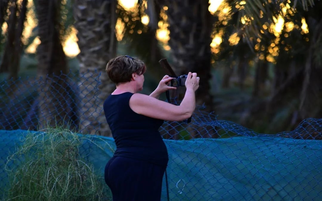 Ras Al Khaimah Desert Safari with Dune Bashing, Camel Ride, Sand Boarding, and Farm Visits Image 2