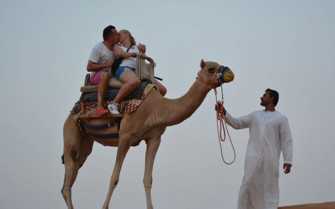 Ras Al Khaimah: Guided Camel Trek at Bedouin Oasis Camp with Transfers and Welcome Treats Image 2