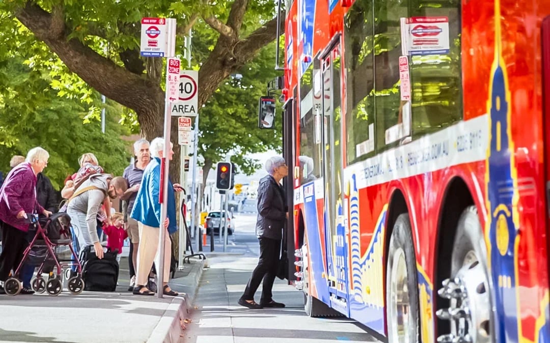 Red Decker: Hobart Hop-on Hop-off Bus Tour Image 9
