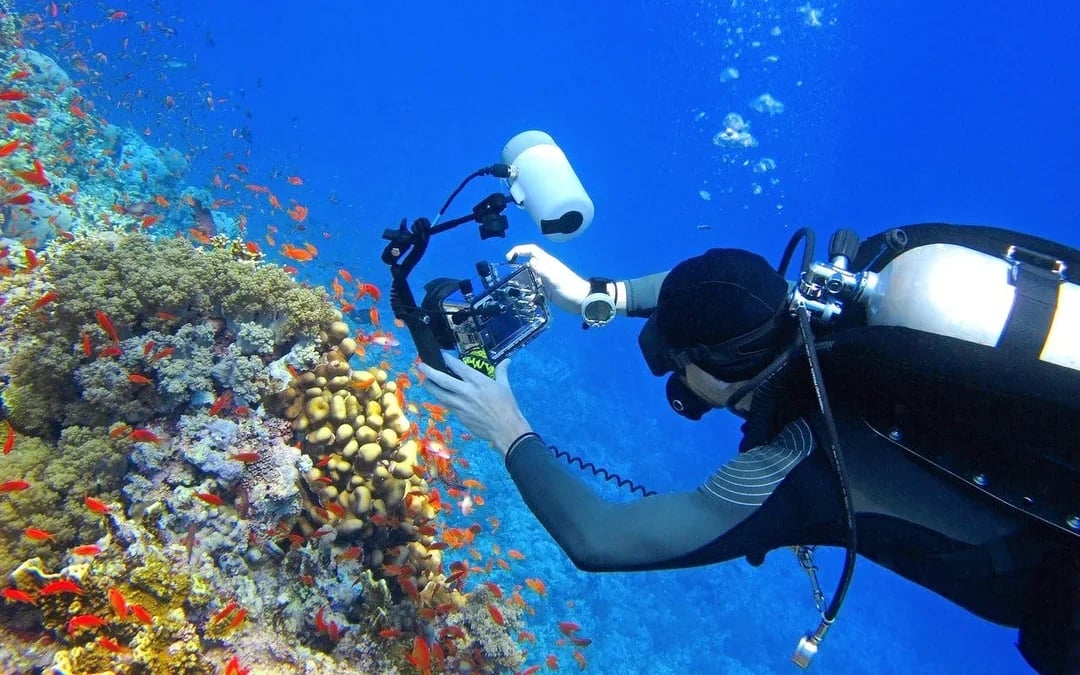 Red Sea Scuba Diving for Beginners with Round-Trip Transfers Image 11
