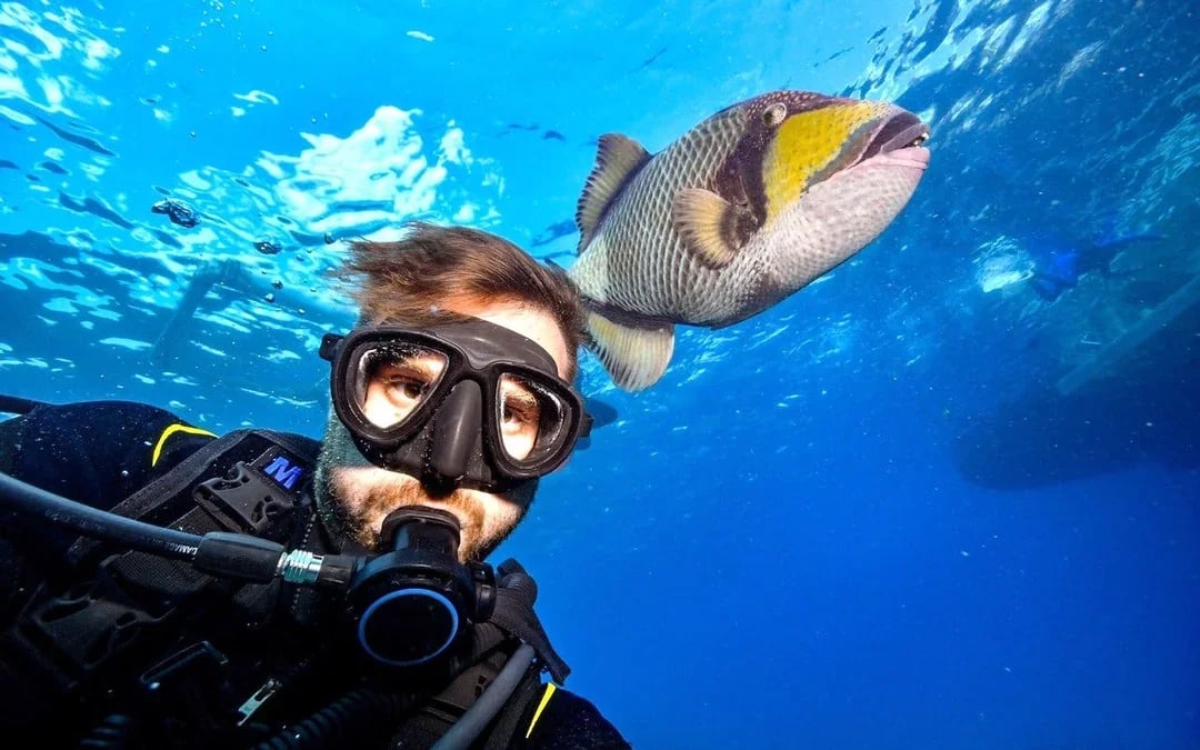 Red Sea Scuba Diving for Beginners with Round-Trip Transfers Image 12