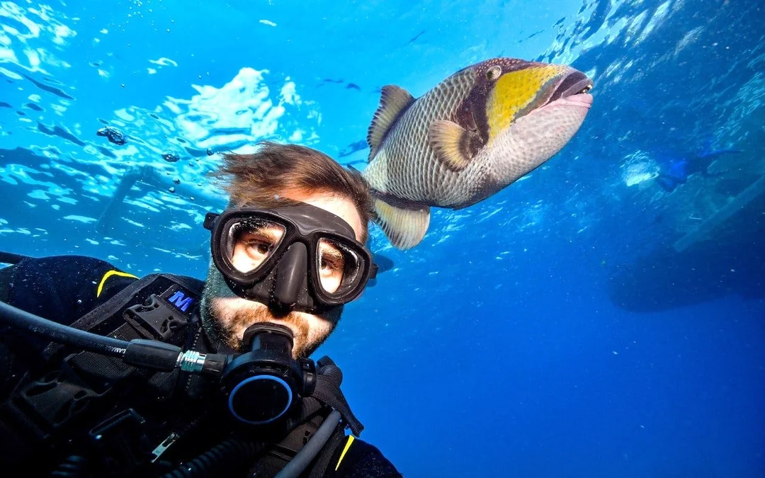 Red Sea Scuba Diving for Beginners with Round-Trip Transfers Image 12