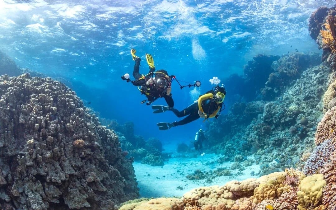 Red Sea Scuba Diving for Beginners with Round-Trip Transfers Image 3