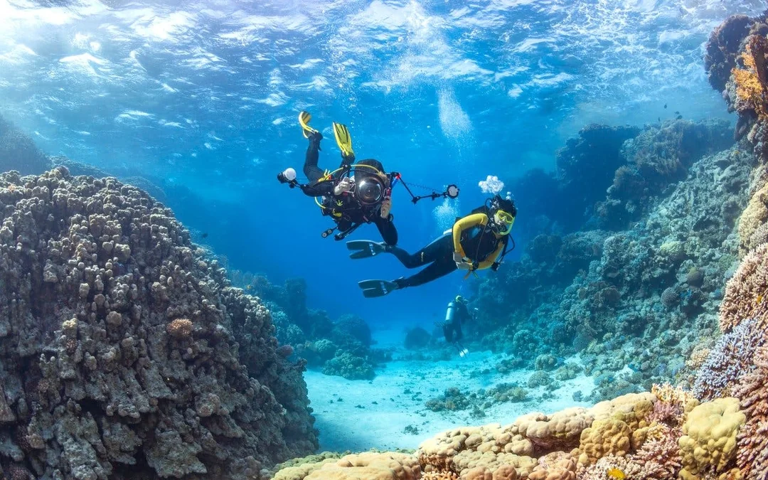 Red Sea Scuba Diving for Beginners with Round-Trip Transfers Image 3