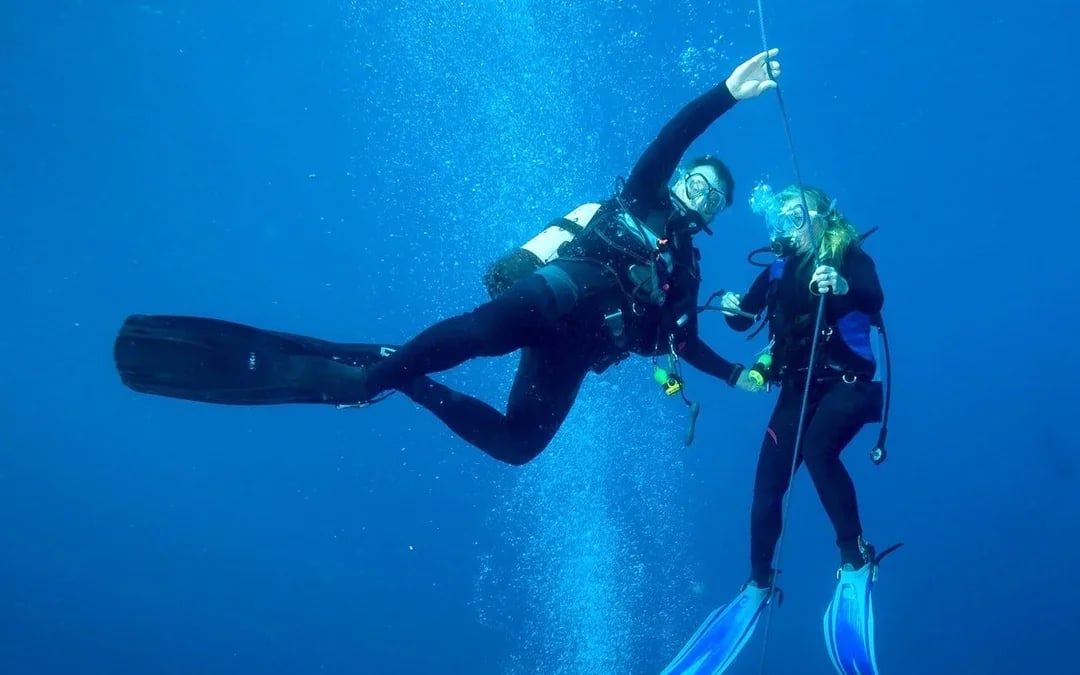 Red Sea Scuba Diving for Beginners with Round-Trip Transfers Image 4