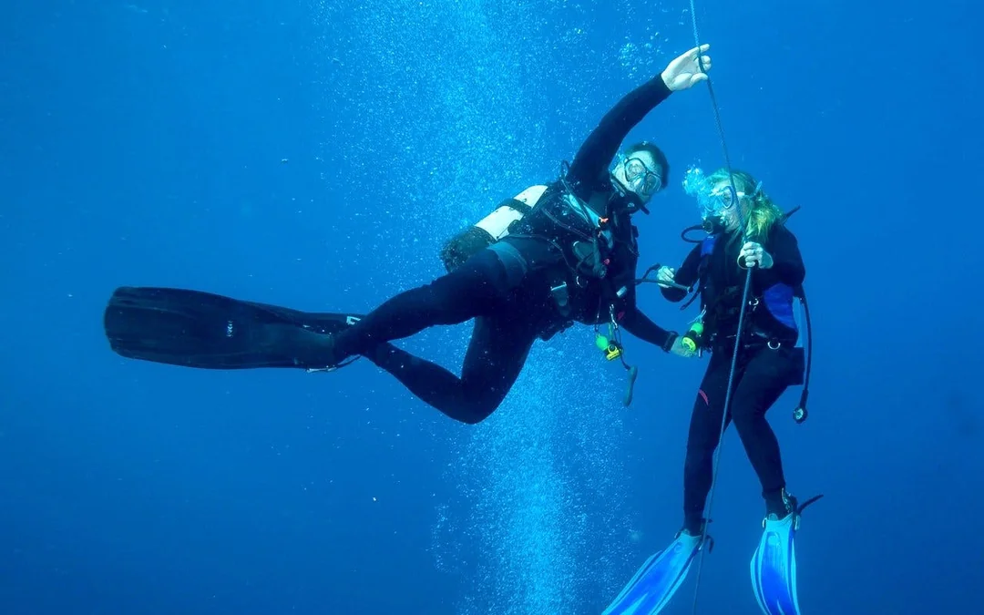Red Sea Scuba Diving for Beginners with Round-Trip Transfers Image 4