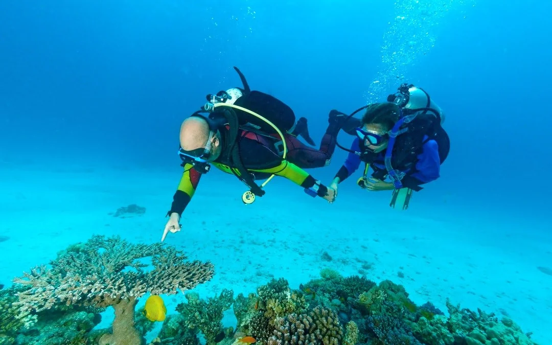 Red Sea Scuba Diving for Beginners with Round-Trip Transfers Image 5