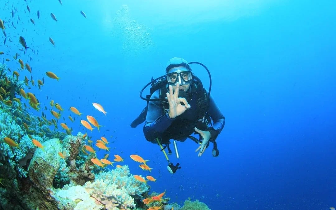 Red Sea Scuba Diving for Beginners with Round-Trip Transfers Image 6