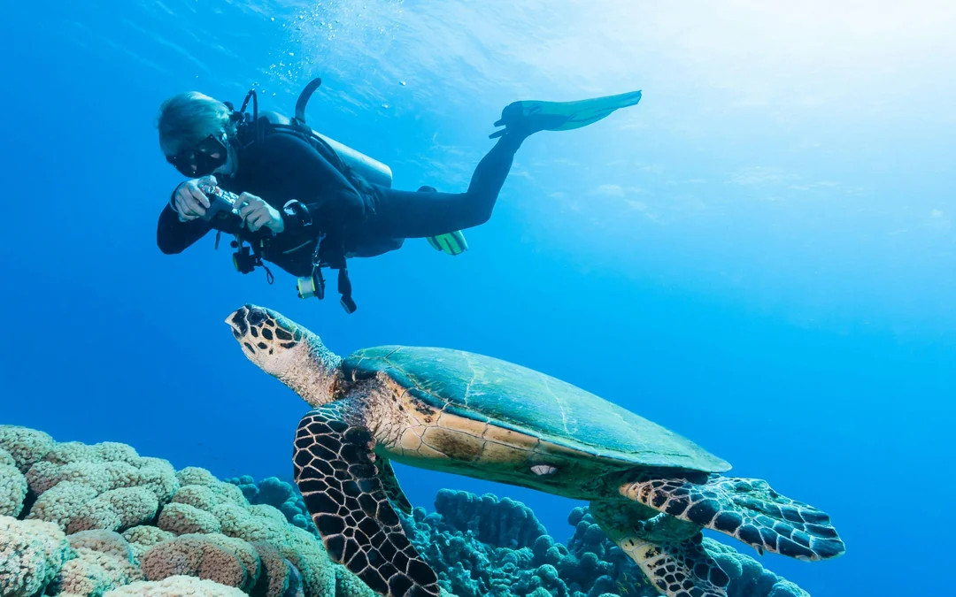 Red Sea Scuba Diving for Certified Divers Image 2