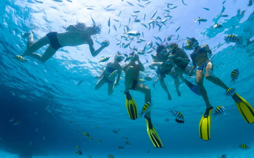 Red Sea Scuba Diving for Certified Divers Image 11