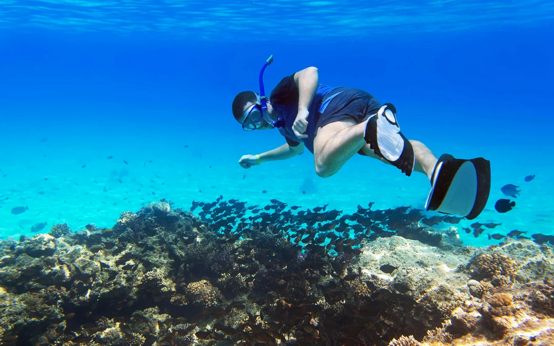 Red Sea Scuba Diving for Certified Divers Image 12