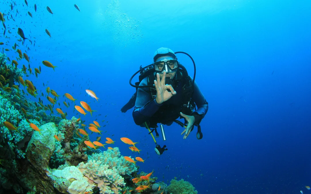 Red Sea Scuba Diving for Certified Divers Image 3
