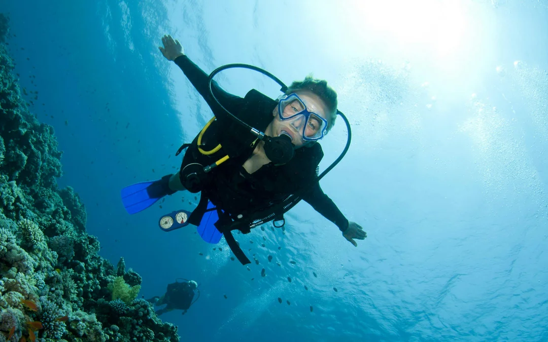 Red Sea Scuba Diving for Certified Divers Image 5