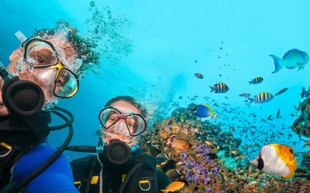 Red Sea Scuba Diving for Certified Divers Image 6