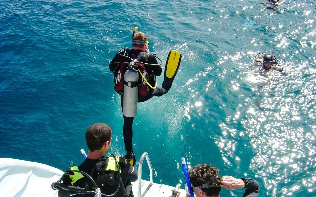 Red Sea Scuba Diving for Certified Divers Image 8