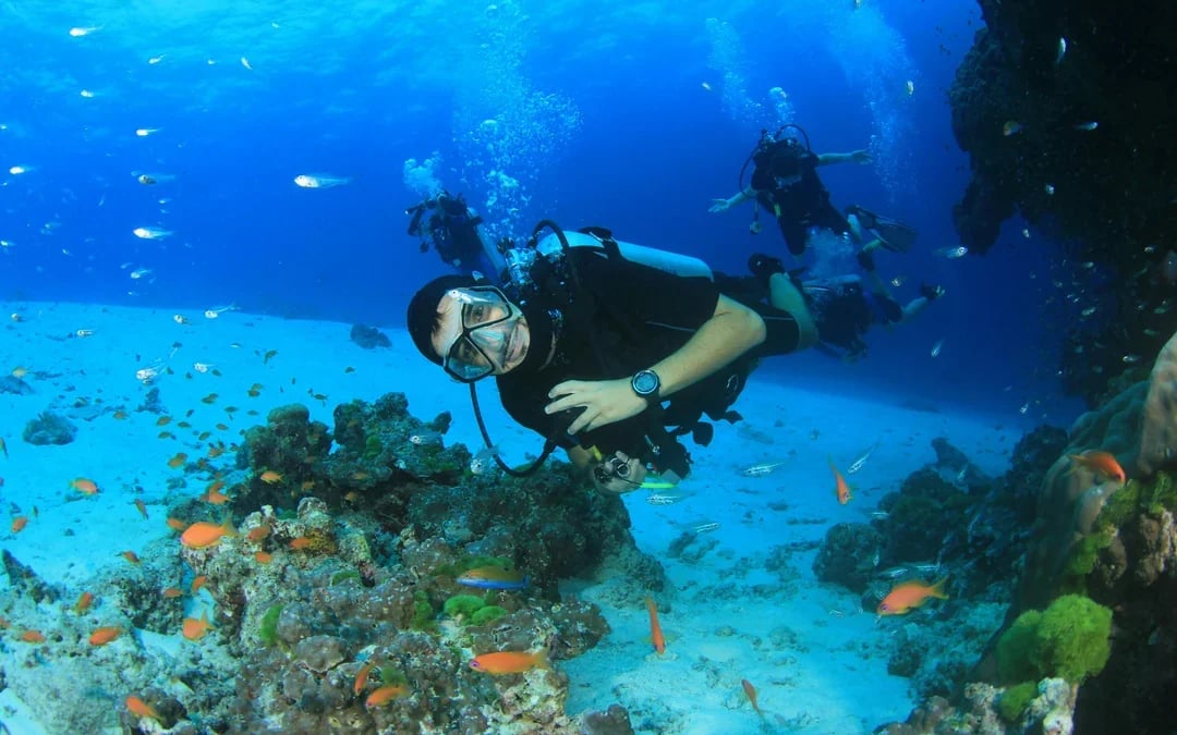 Red Sea Scuba Diving for Certified Divers Image 10