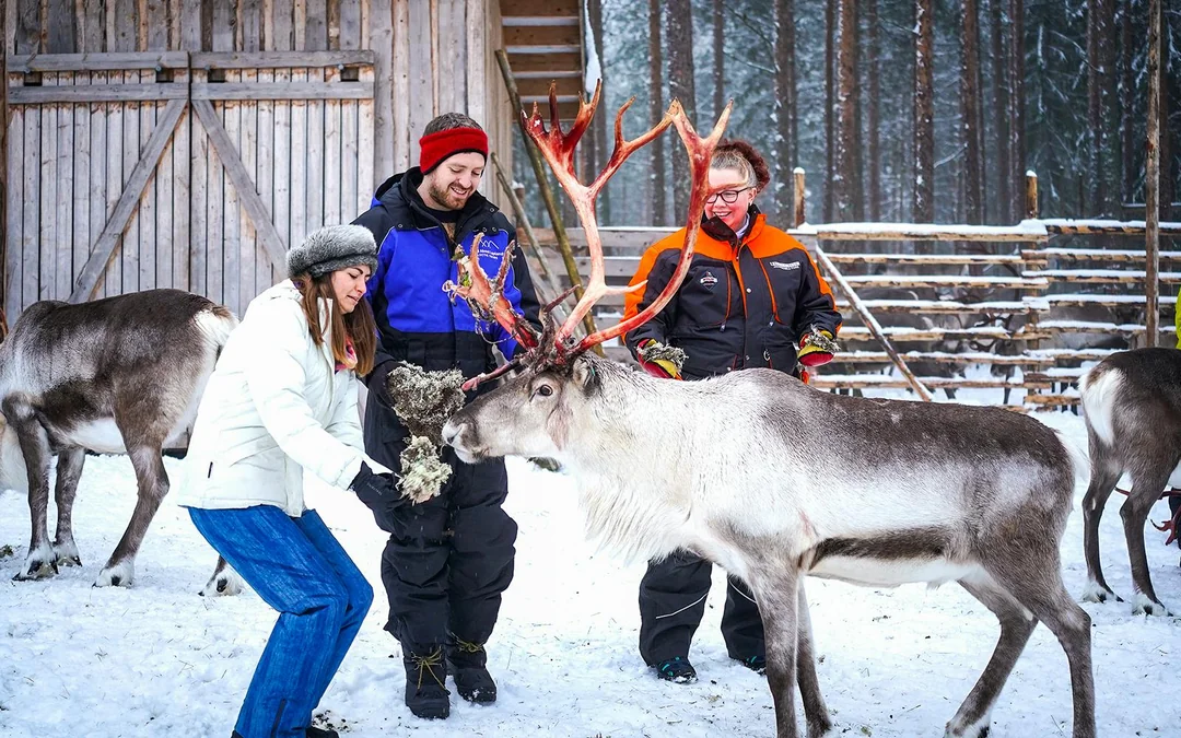 Reindeer Farm and Sledding Experience Image 1